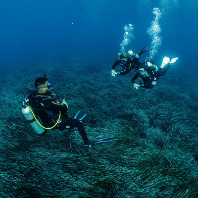 PADI Open Water Diver Course (from Crete)